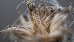 4 Reduce Risk 4 Reduce Risk