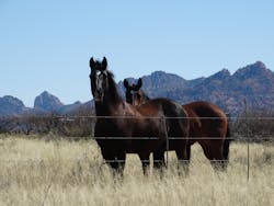 When working in rugged, remote areas, workers should make sure others know their location and check in regularly. When working in rugged, remote areas, workers should make sure others know their location and check in regularly.