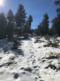 In cold, wet conditions, it is important to stay dry. In cold, wet conditions, it is important to stay dry.