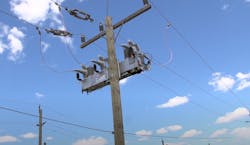 Picture3 62e82dbc96581 Picture3 62e82dbc96581