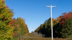 Getty Images 493763908 632885507fb5c Getty Images 493763908 632885507fb5c