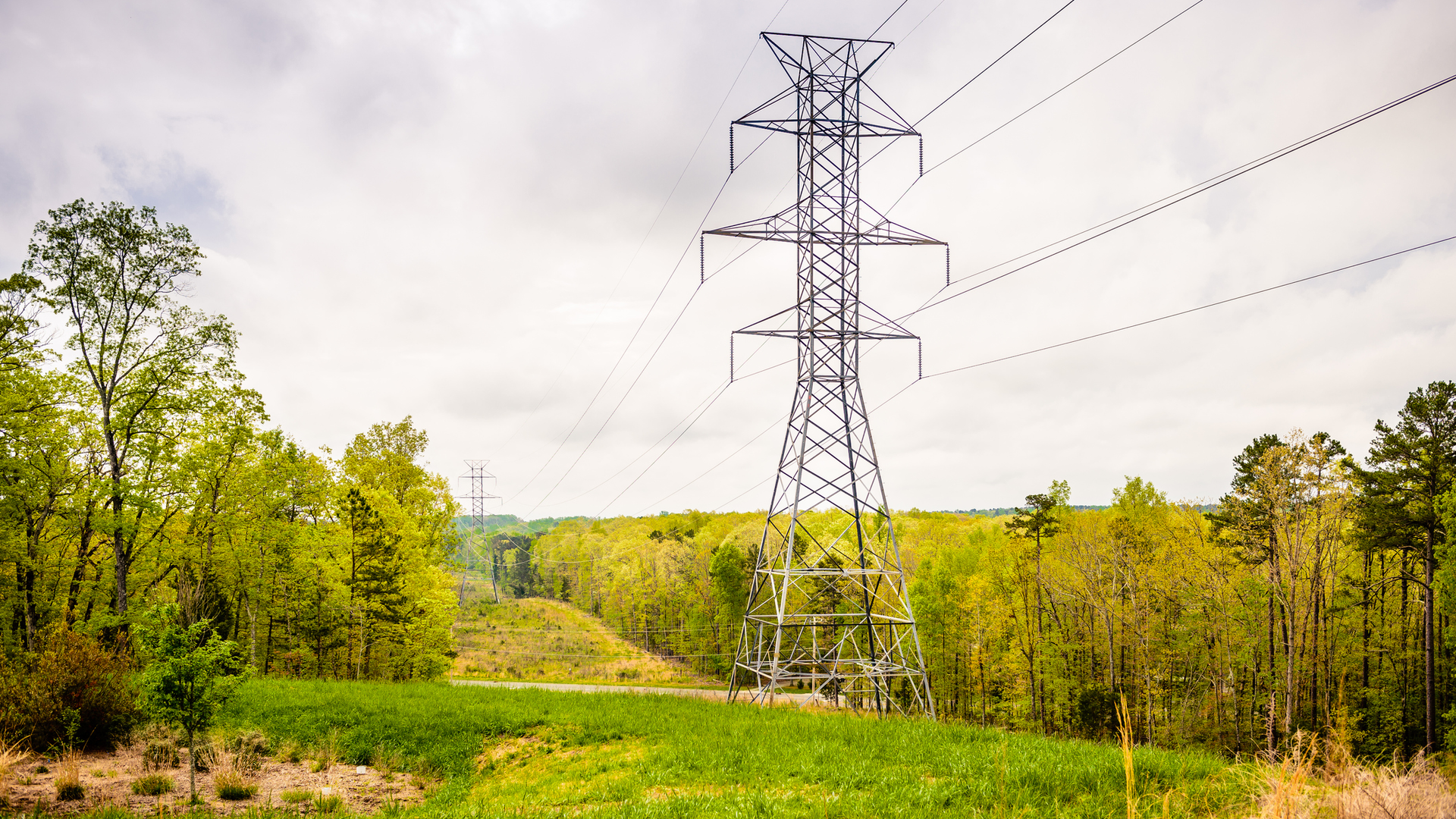 Getty Images 498977822 631a0bc6360ac