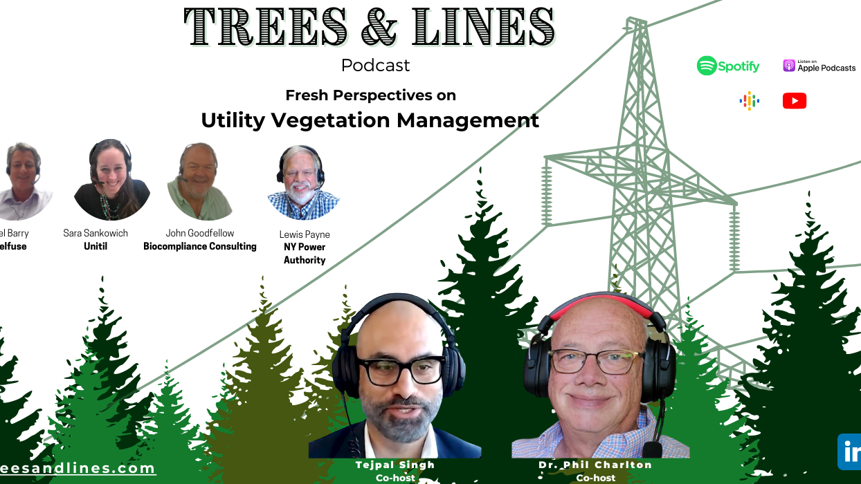 Trees And Lines Utility Vegetation Management Podcast 1500 700 Px 6310f89ebe8e1