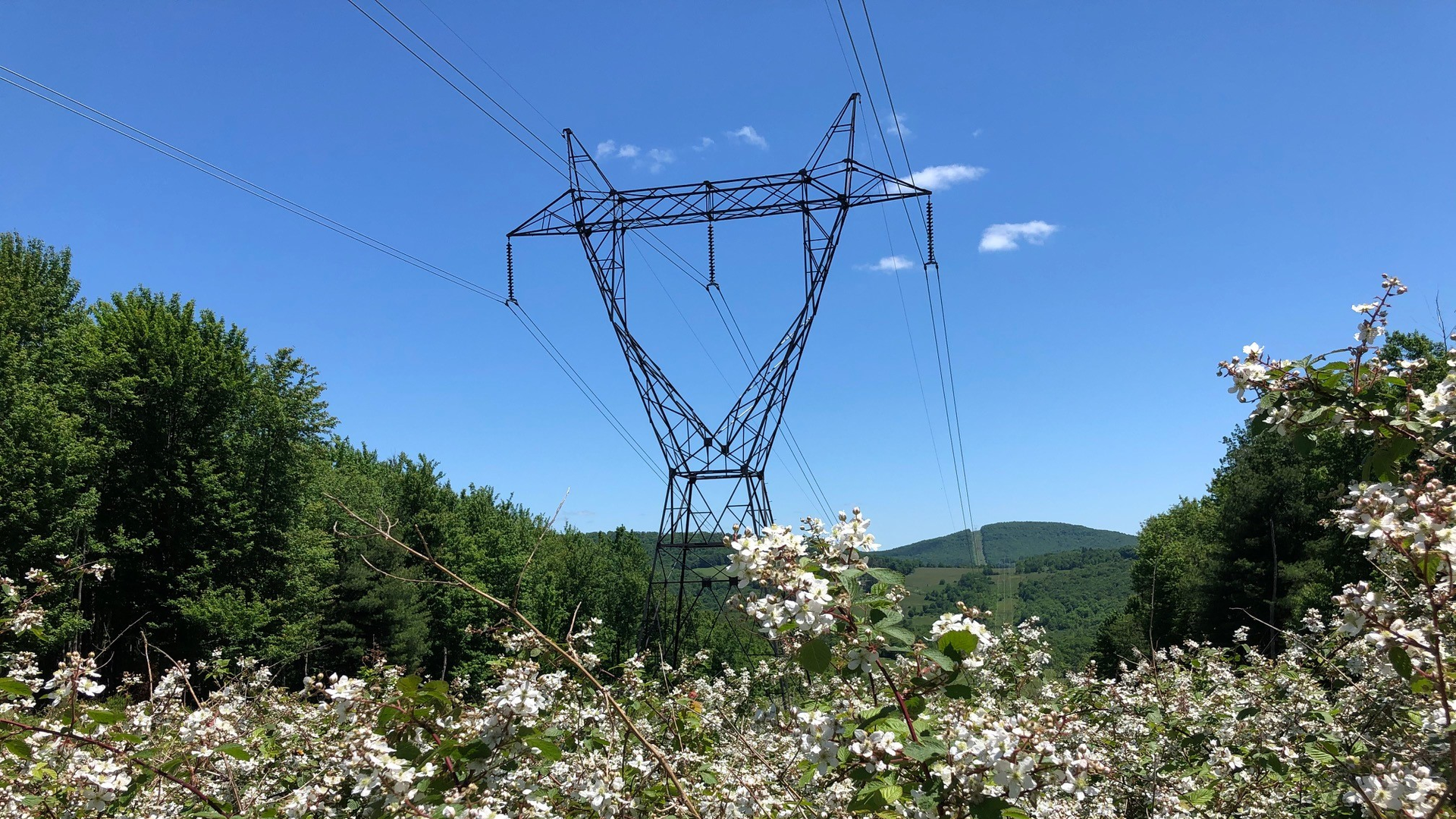 Blackberry 632d8cf85f3ad