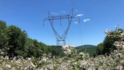 Blackberry 632d8cf85f3ad Blackberry 632d8cf85f3ad