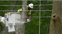 Tree Trimming Cle Web 6328949511f0f Tree Trimming Cle Web 6328949511f0f