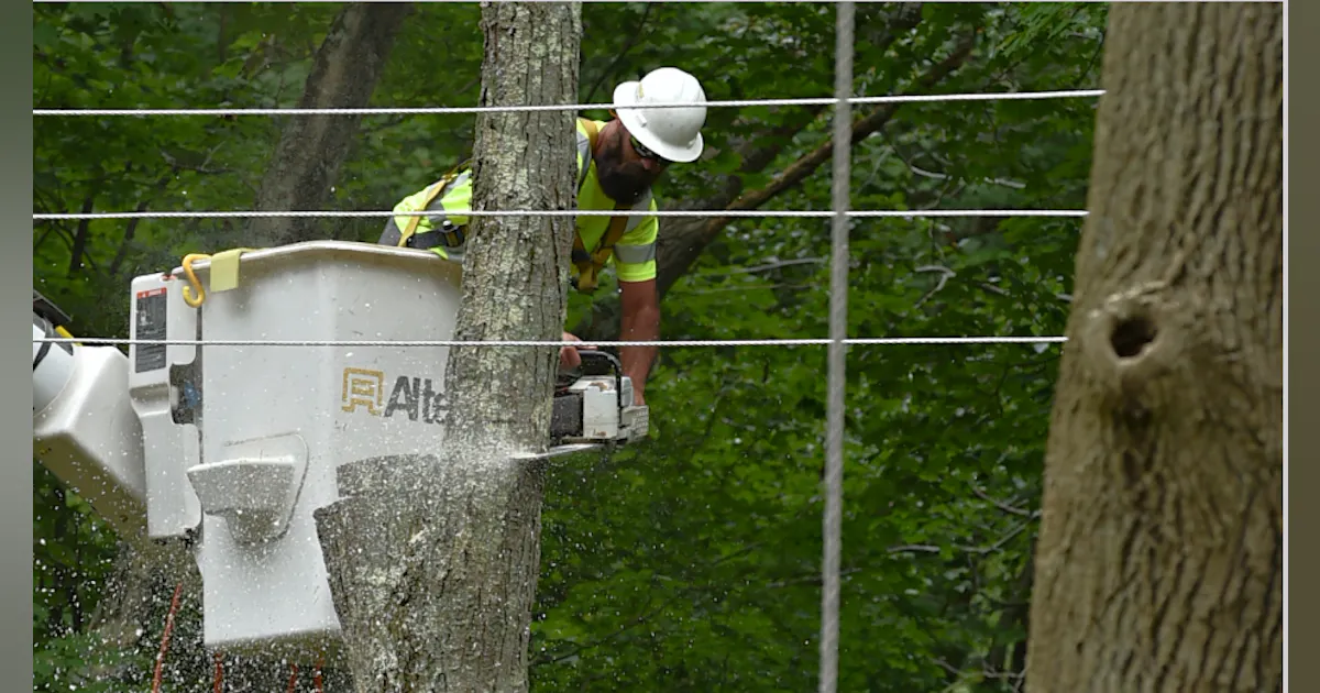 The Illuminating Company Completes US 3 Million Tree Trimming Project The illuminating company completes us 3 million tree trimming project