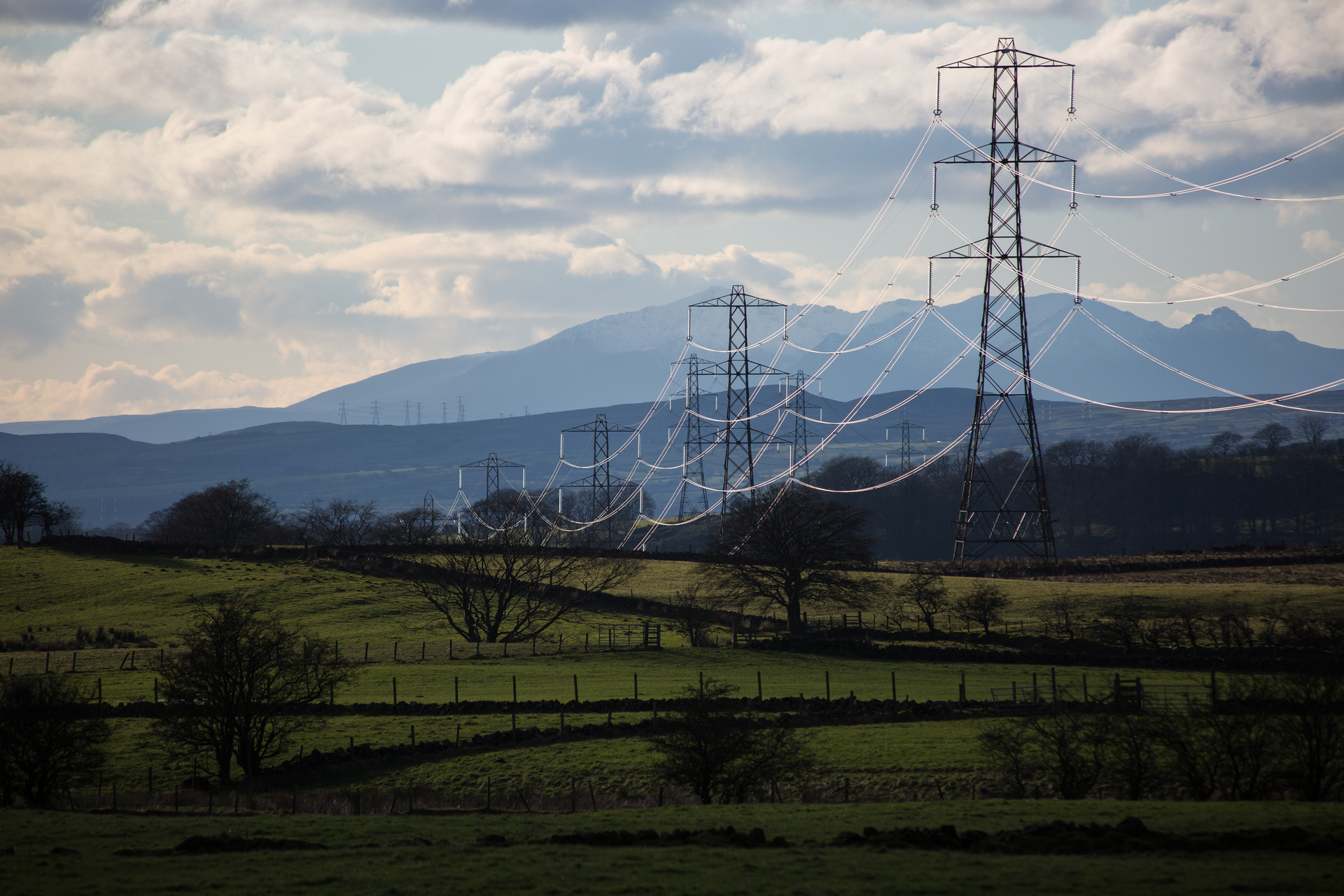 Anthony Renton Dreamstime 63176ac34ef73