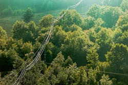 Getty Images 492602322 632093e550b68 Getty Images 492602322 632093e550b68