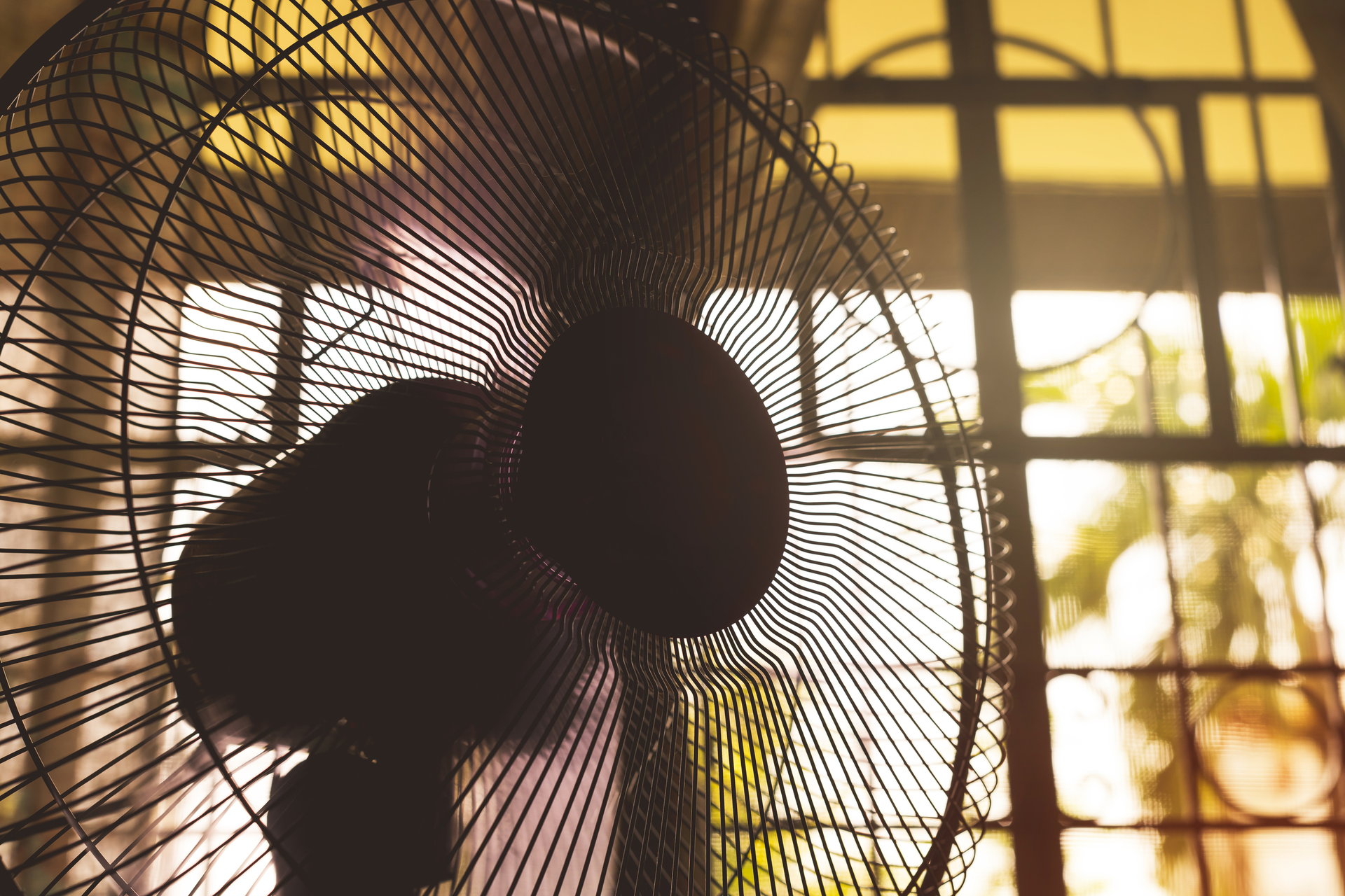 Michael Edwards Dreamstime 63288e424e03c