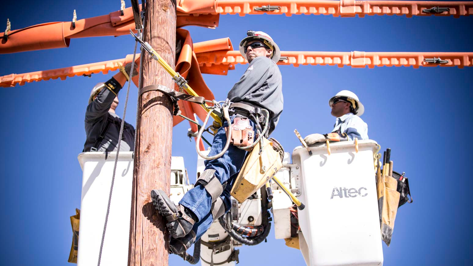 Bulwark Lq Line Work 2278