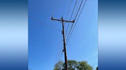 Bird Guards 940x520 633b52ca59ae3 Bird Guards 940x520 633b52ca59ae3