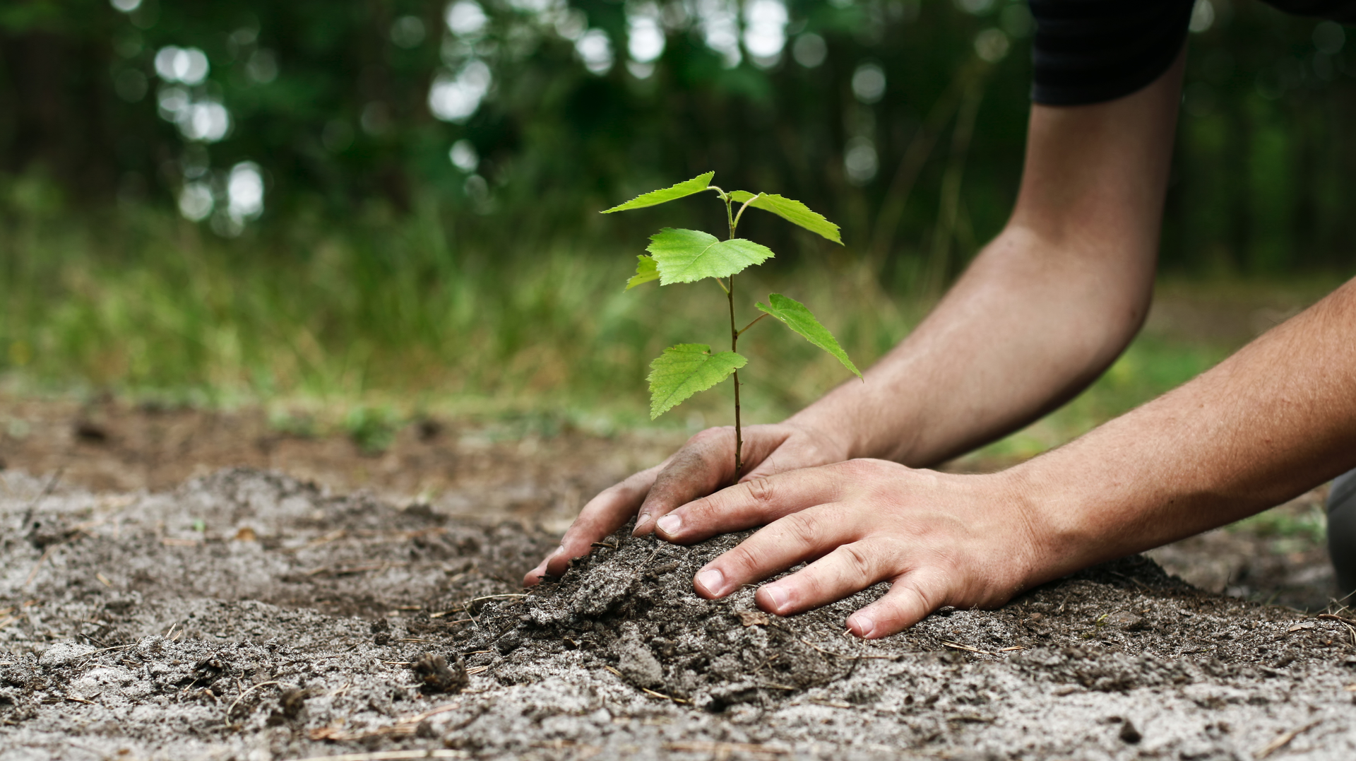 Getty Images 182177010 635bcf3e10812