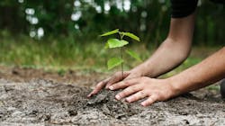 Getty Images 182177010 635bcf3e10812 Getty Images 182177010 635bcf3e10812