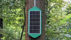 Pxl 20210828 105801252 portrait 633f0e4ebbf93 Pxl 20210828 105801252 portrait 633f0e4ebbf93