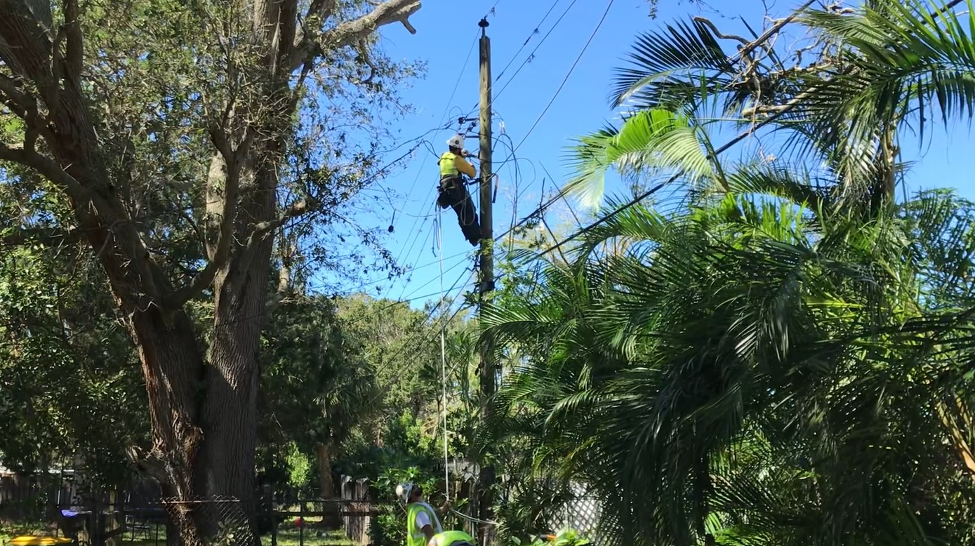 Fpl Sarasota 633b387a35e6b