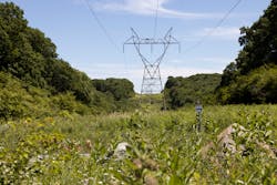 3 O8 A4535 635a97bb46eb1 3 O8 A4535 635a97bb46eb1