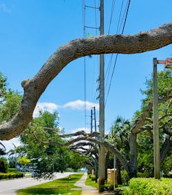 There is much work to do, and ambitious goals need to be set not just for how we generate electricity, but how this Florida Keys distribution grid delivers it. Photo courtesy of Mike Beehler. There is much work to do, and ambitious goals need to be set not just for how we generate electricity, but how this Florida Keys distribution grid delivers it. Photo courtesy of Mike Beehler.