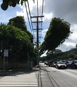 Trees line the tourist-filled Kalanianaole highway. Hawaiian Electric is weighing how to plan the 46 kilovolt lines for a new master planned community.