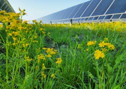 Image007 633c7ab7e5057 Image007 633c7ab7e5057