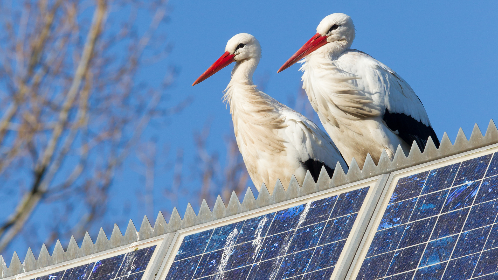 Getty Images 158401316 637510a7b9e25