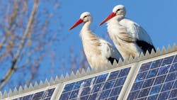 Getty Images 158401316 637510a7b9e25 Getty Images 158401316 637510a7b9e25