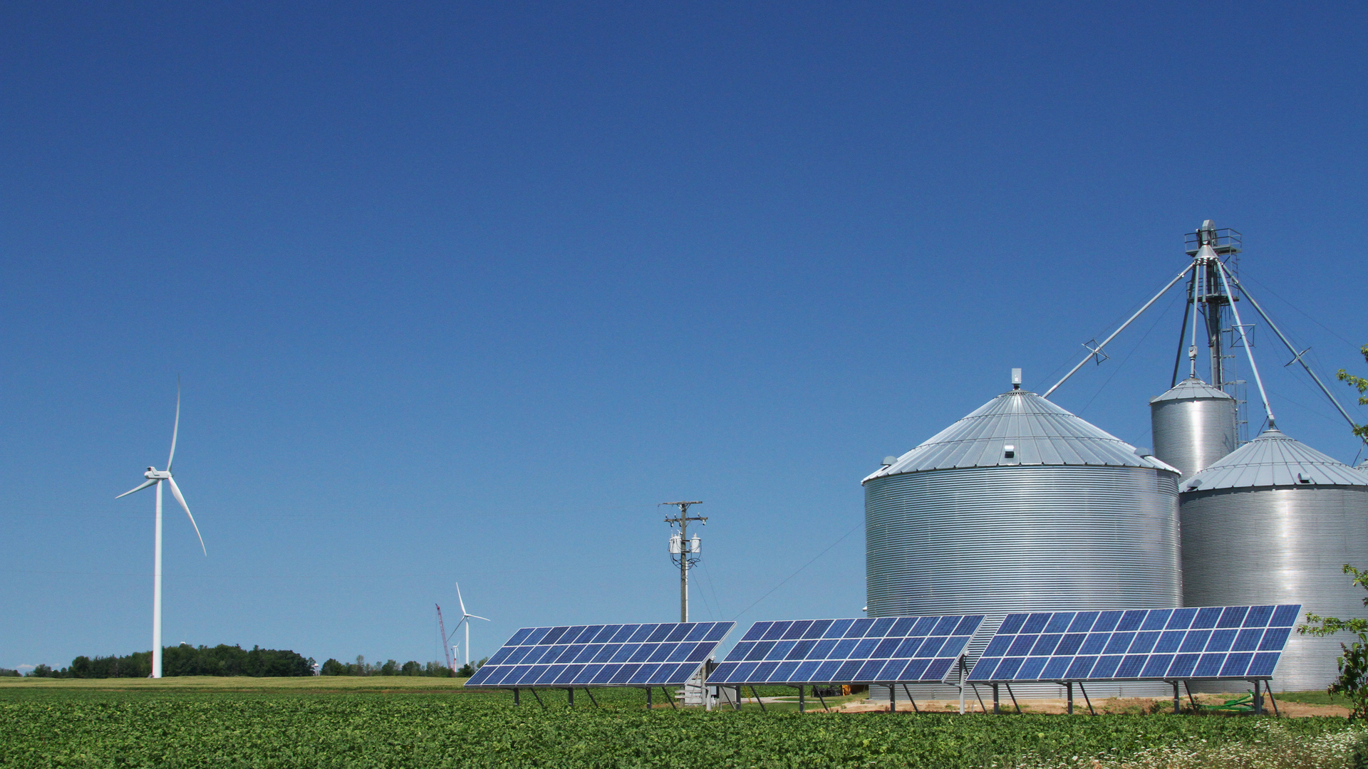 StanRohrer/Getty Images