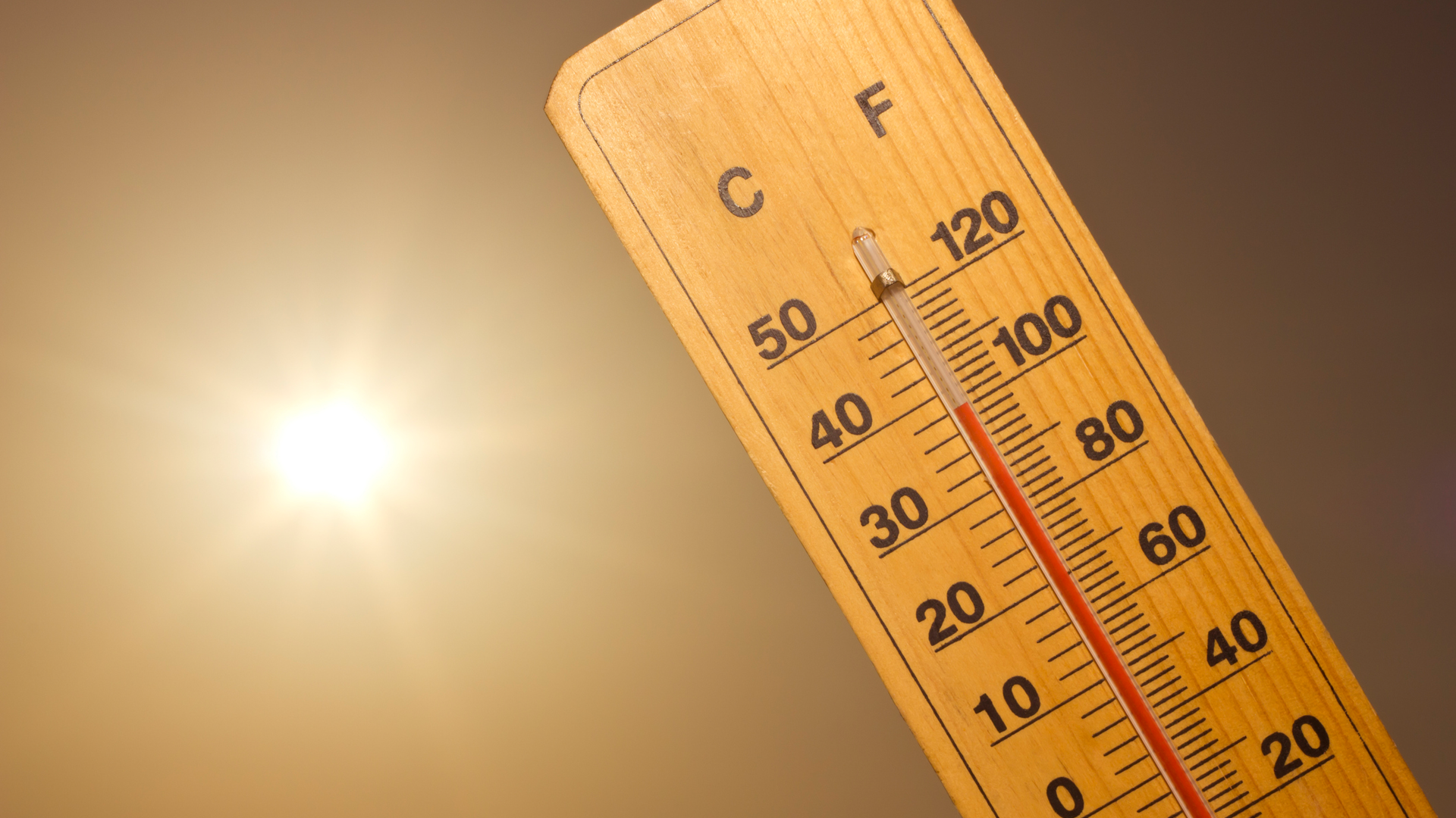 Getty Images 500278009 637269112300a