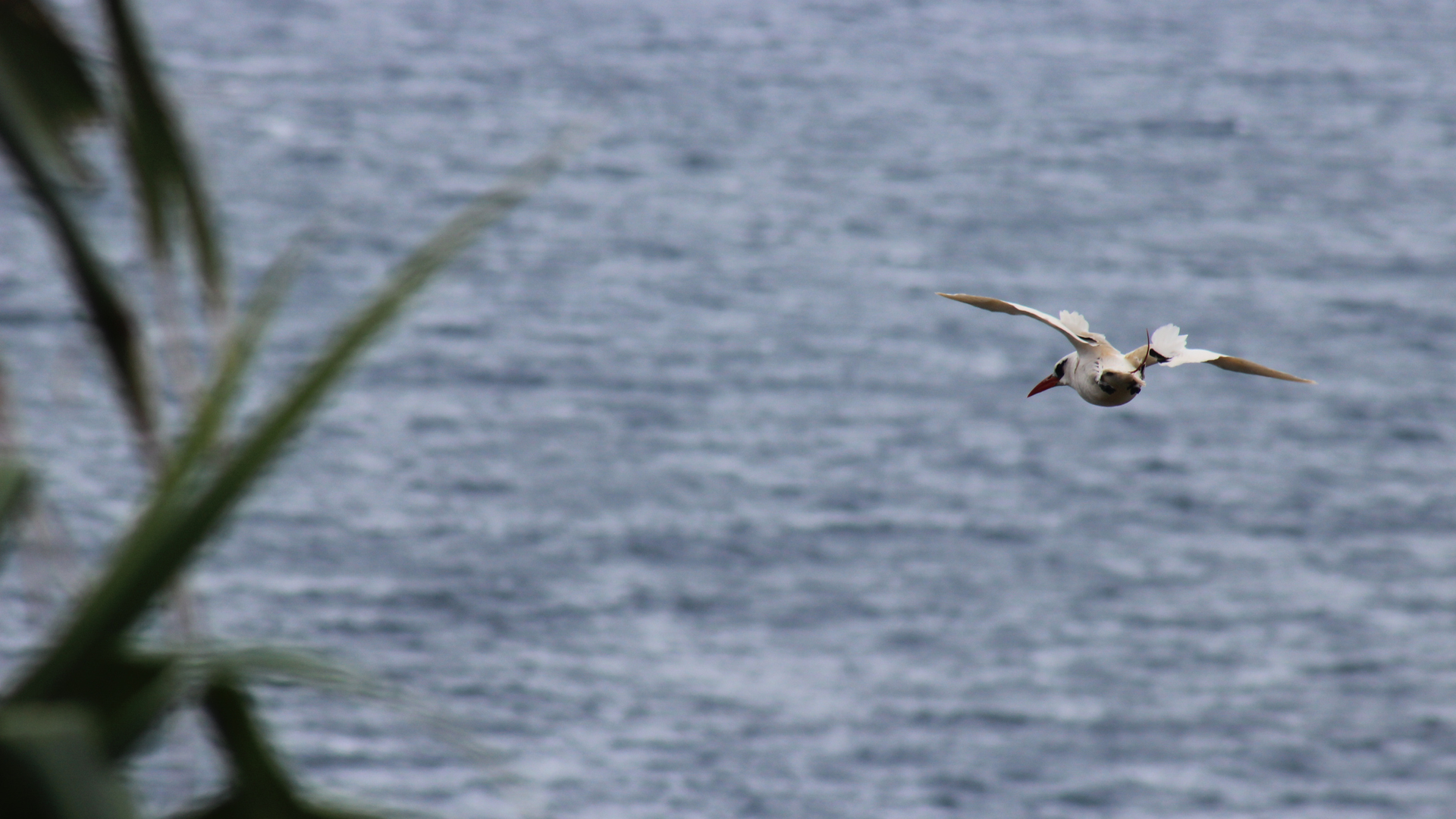 Getty Images 534158255 6377a80f1ce49