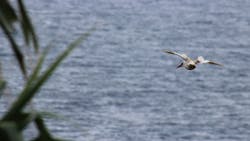 Getty Images 534158255 6377a80f1ce49 Getty Images 534158255 6377a80f1ce49