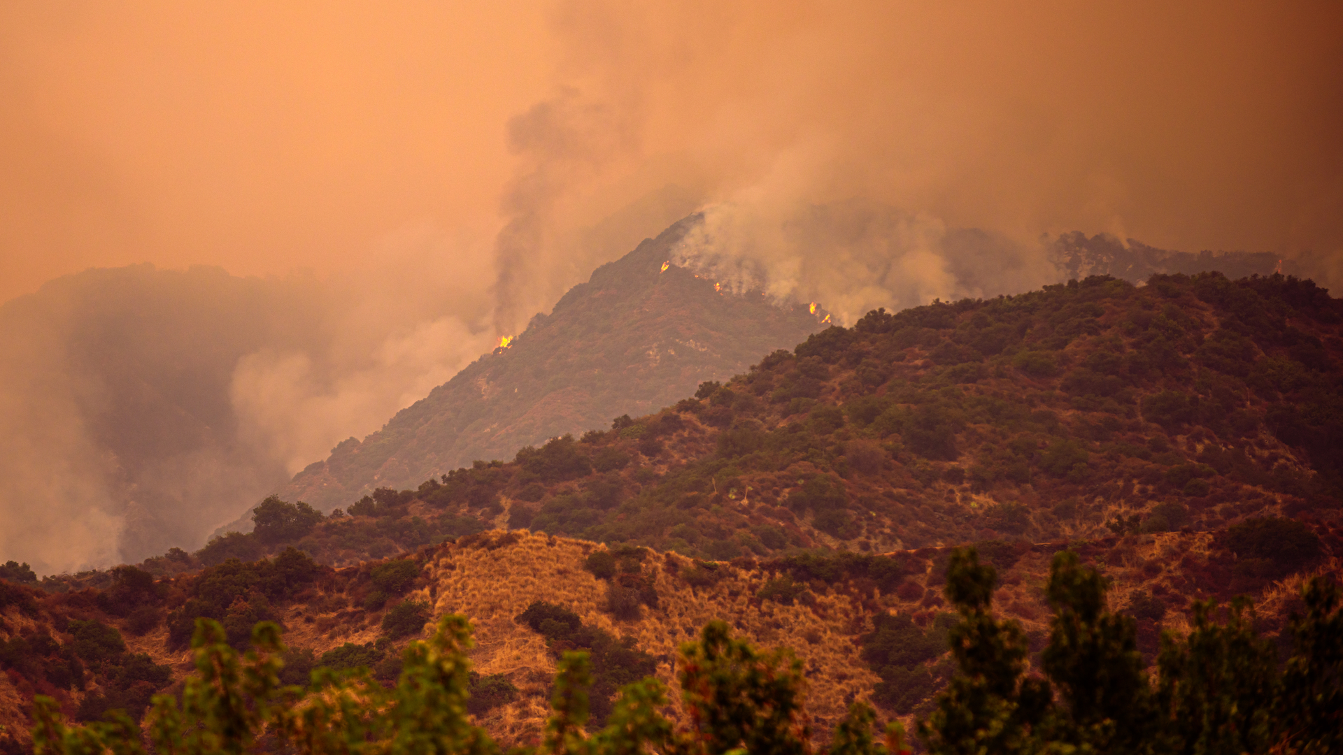 Dreamstime M 196034721 63629098308ca