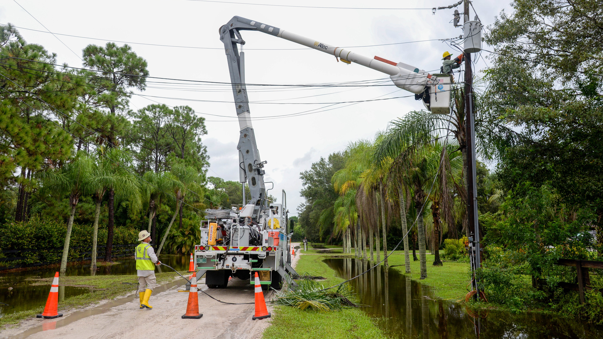 Fpl Restore Twitter 6376613f70429