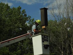 Ameren Illinois journeyman lineman Brock Bueker works on one of the bat rocket boxes a crew from the Mattoon Illinois Operating Center volunteered to set in Warbler Ridge Conservation Area just south of Charleston, Illinois.