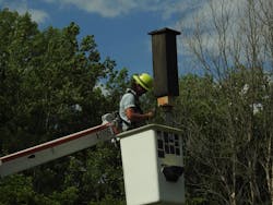 Ameren Illinois journeyman lineman Brock Bueker works on one of the bat rocket boxes a crew from the Mattoon Illinois Operating Center volunteered to set in Warbler Ridge Conservation Area just south of Charleston, Illinois. Ameren Illinois journeyman lineman Brock Bueker works on one of the bat rocket boxes a crew from the Mattoon Illinois Operating Center volunteered to set in Warbler Ridge Conservation Area just south of Charleston, Illinois.