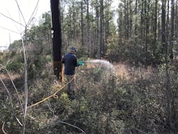 Vegetation managers can use Garlon® 4 Ultra herbicide from Corteva Agriscience to increase the efficacy of dormant-season treatments. Vegetation managers can use Garlon® 4 Ultra herbicide from Corteva Agriscience to increase the efficacy of dormant-season treatments.