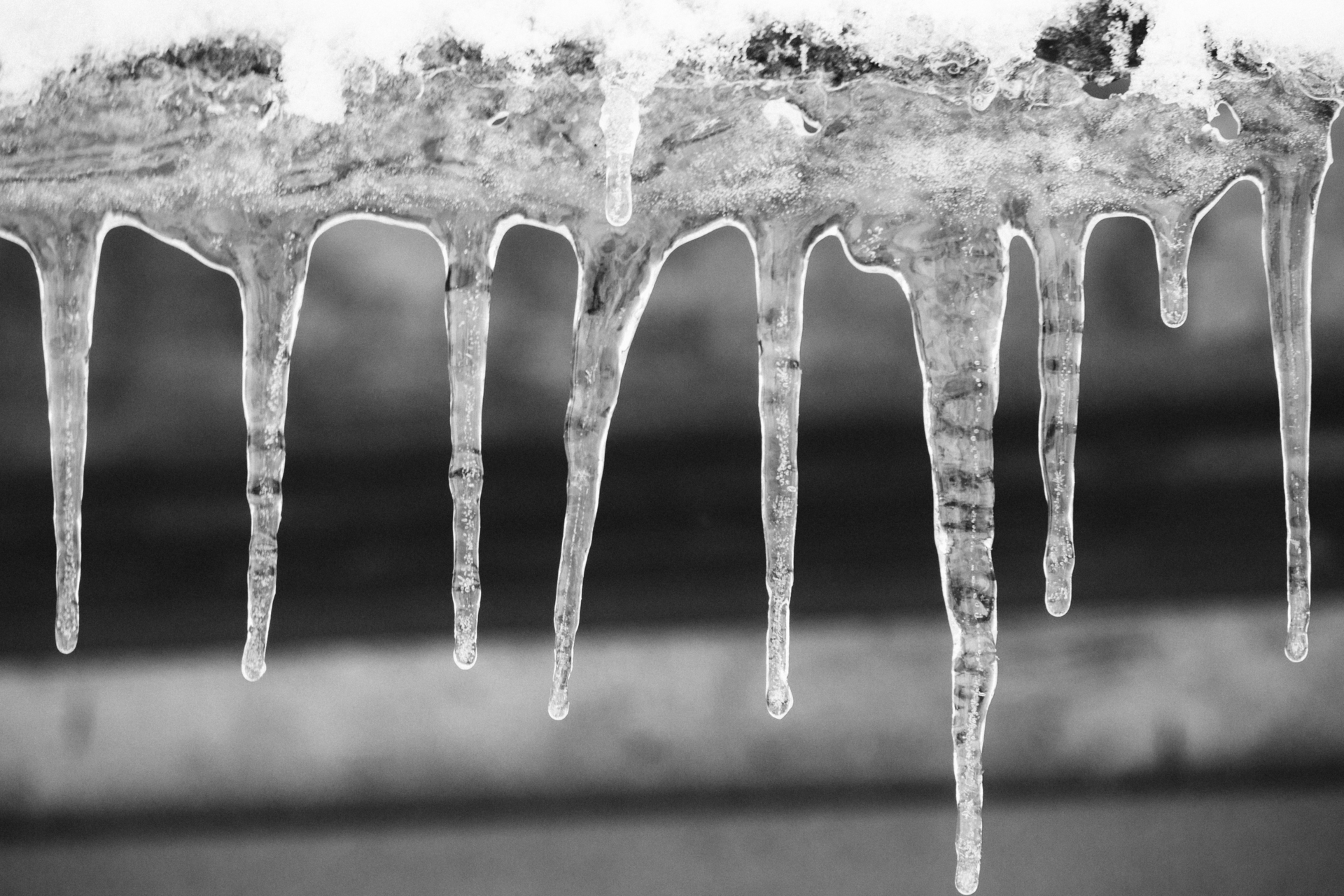 Nataliia Shcherbyna Dreamstime 638696024c9f2