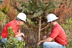 G9 S6629 2 637d4b8de902d G9 S6629 2 637d4b8de902d