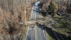 Fl F Ppa I Xg Aqg8 Hv Bge 63adaff2813da Fl F Ppa I Xg Aqg8 Hv Bge 63adaff2813da