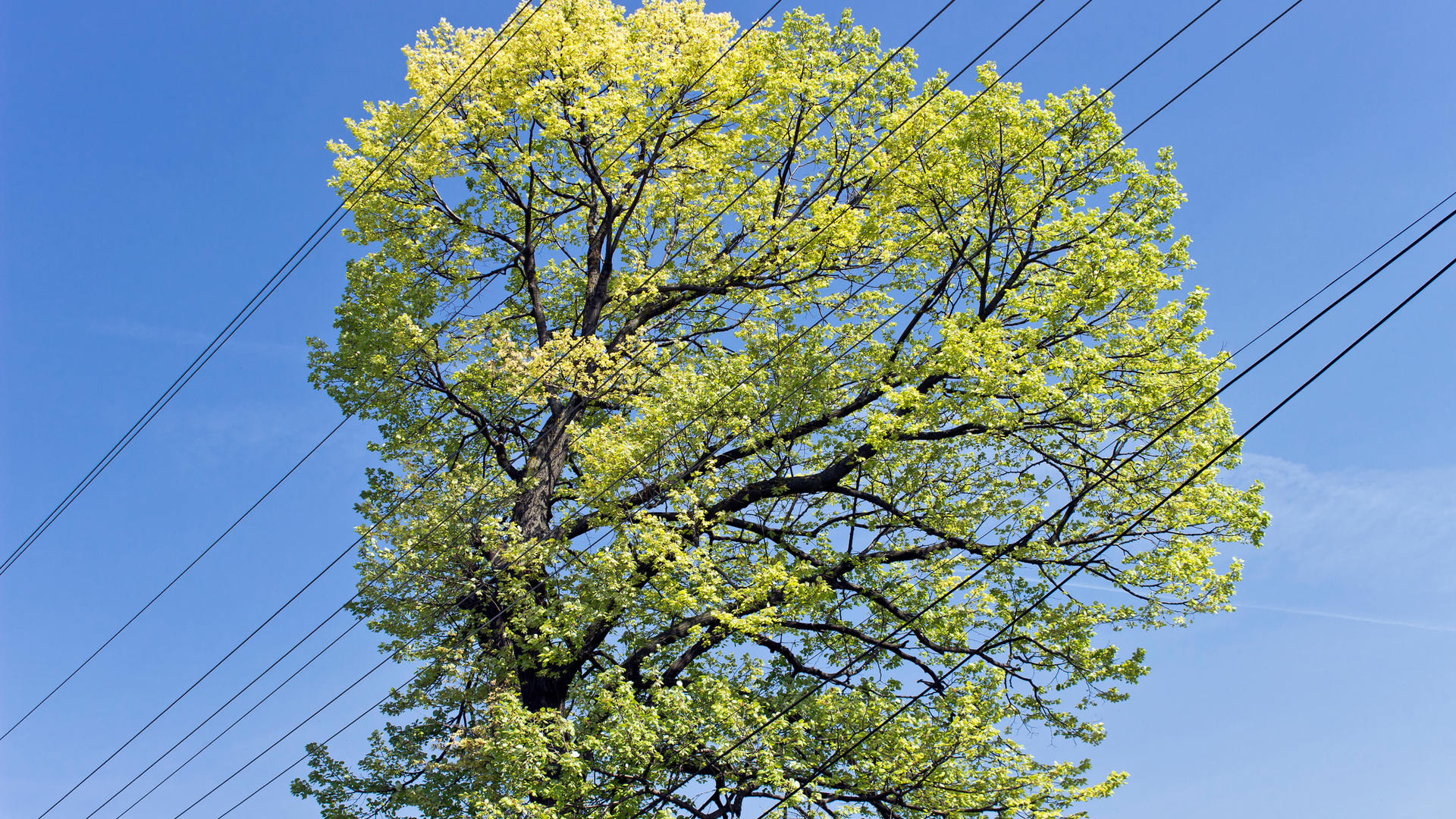 Getty Images 486072853 63976be602eb6