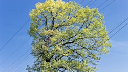 Getty Images 486072853 63976be602eb6 Getty Images 486072853 63976be602eb6