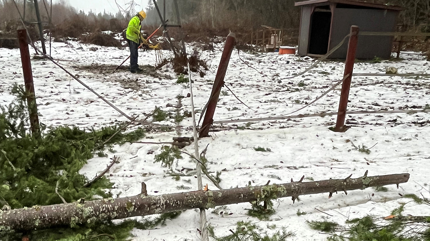 20230112 Winter Weather Wallops Nw As Bpa Crews Respond To Downed Tx Lines 63c6cf58c8cf2
