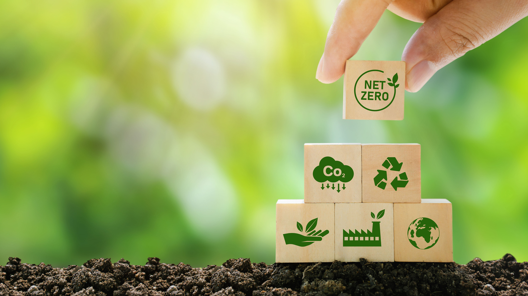 Getty Images 1388420740