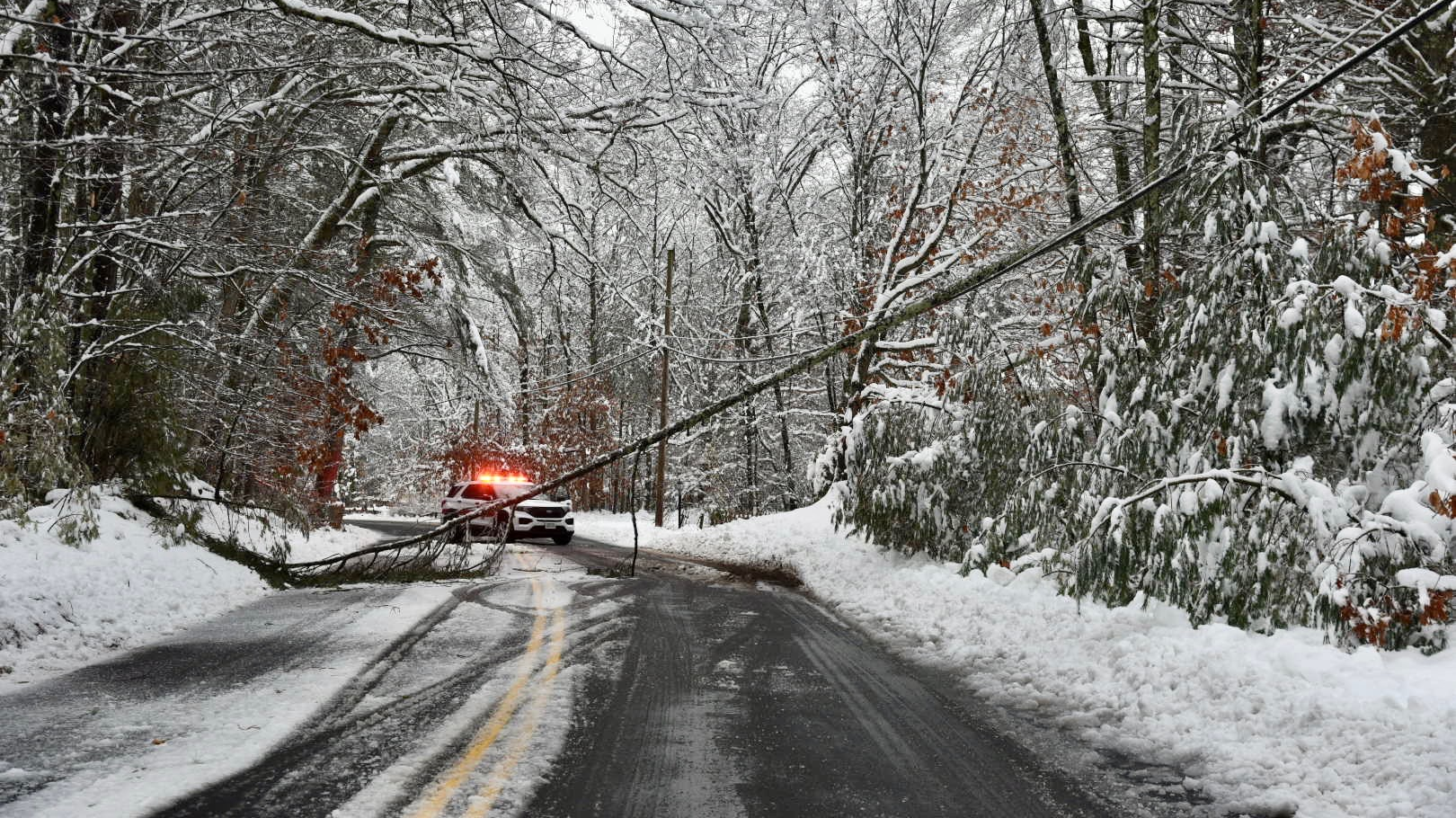 Img 6548 63cf0558ac78a