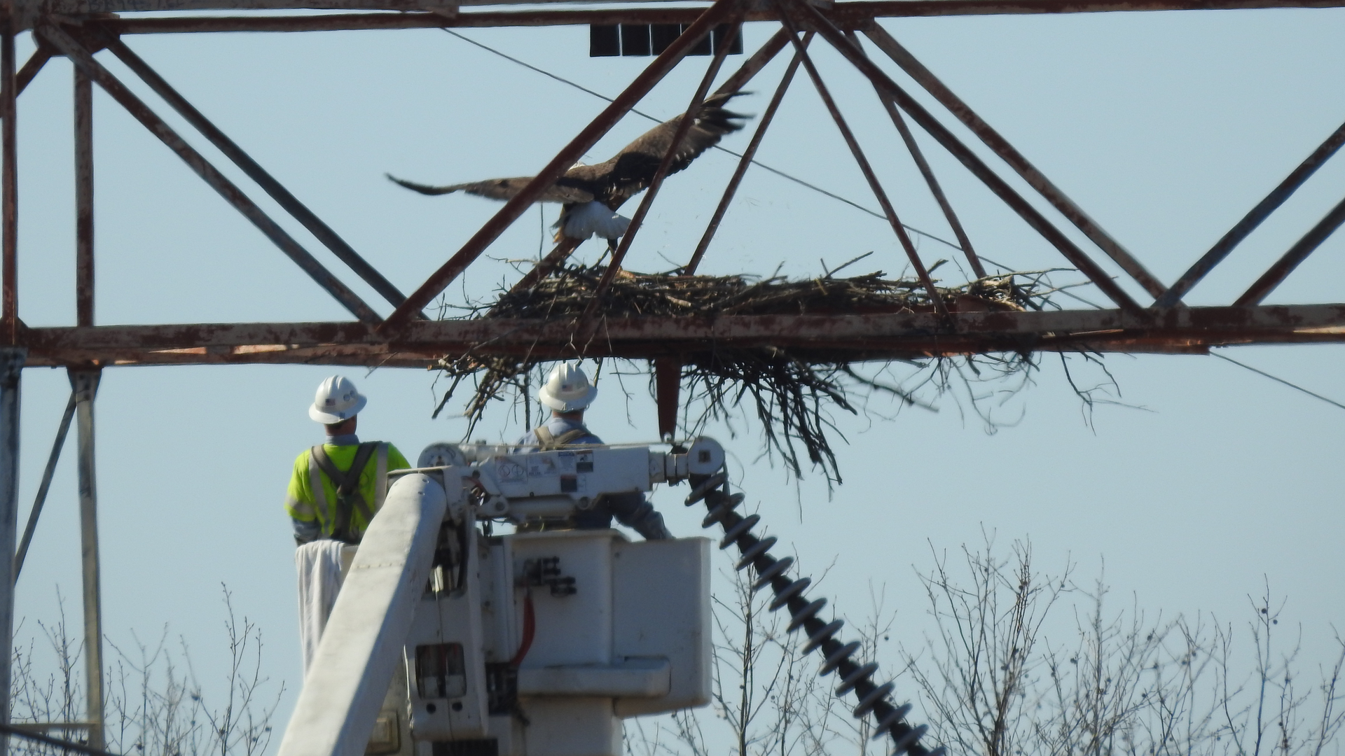 Md Chco Newburg Structure908 E2 10 Mar2021 Baea Flushed 01 Dr Smith 0001 63d056f124884