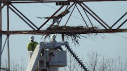 Md Chco Newburg Structure908 E2 10 Mar2021 Baea Flushed 01 Dr Smith 0001 63d056f124884 Md Chco Newburg Structure908 E2 10 Mar2021 Baea Flushed 01 Dr Smith 0001 63d056f124884