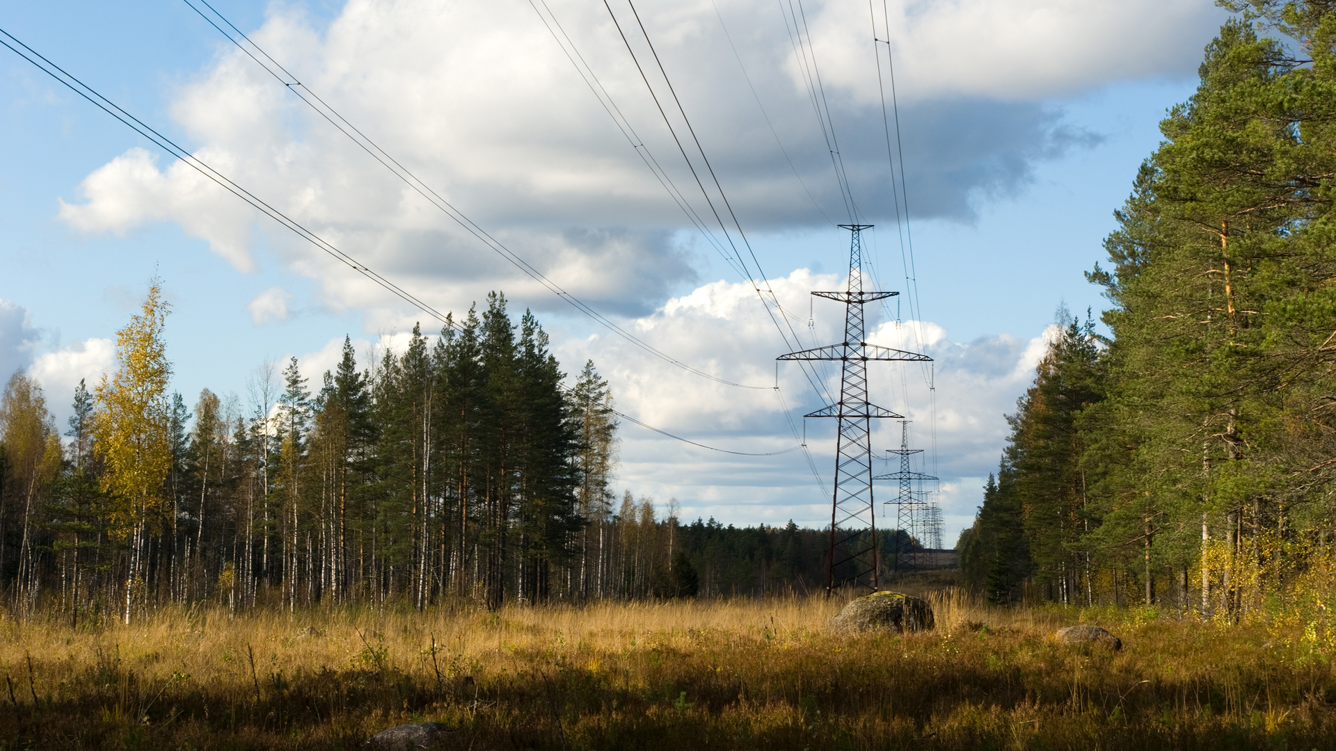 Dreamstime M 12352103 63ceb43171371