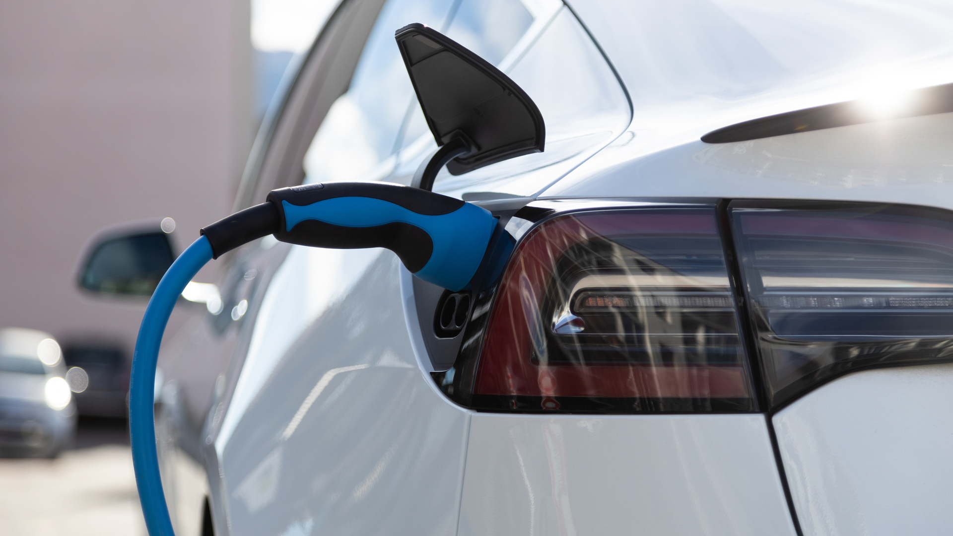 Dreamstime M 173996421 63c96a7262555