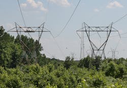 Eagle nests can pose a threat to transmission equipment as they decay, are knocked down by weather, or eagles themselves can drop debris or waste onto lines, causing faults..