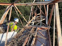 To encourage re-use of the site, PHI placed sticks from the previous nest (which had fallen off the tower after the 2021 breeding season) on the bridge above the tray. To encourage re-use of the site, PHI placed sticks from the previous nest (which had fallen off the tower after the 2021 breeding season) on the bridge above the tray.