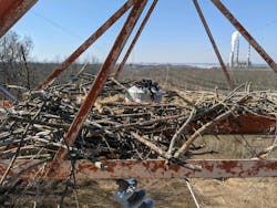 A power station is visible from the eagle nest. A power station is visible from the eagle nest.